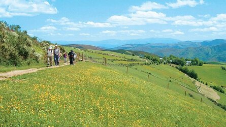 12 Day Walking the Camino de Santiago (Explore)