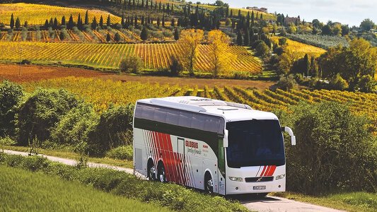 Coach Tours