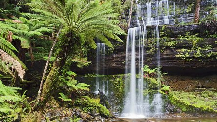 6 Day Eastern Tasmania Getaway (Travelmarvel)